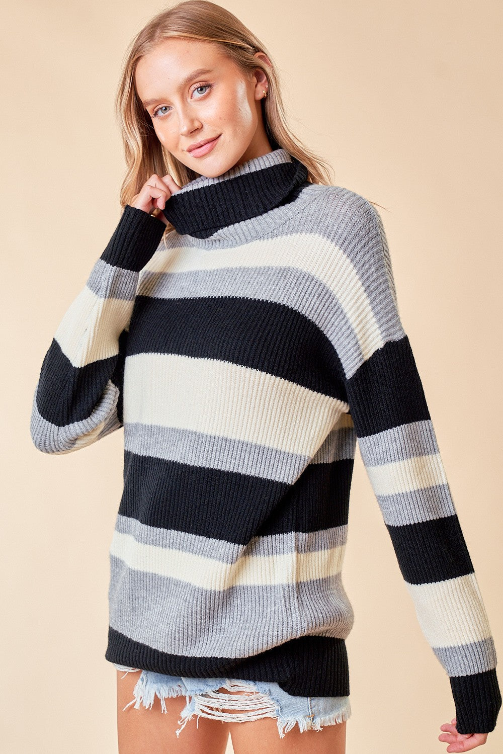 Percy Striped Turtleneck Sweater